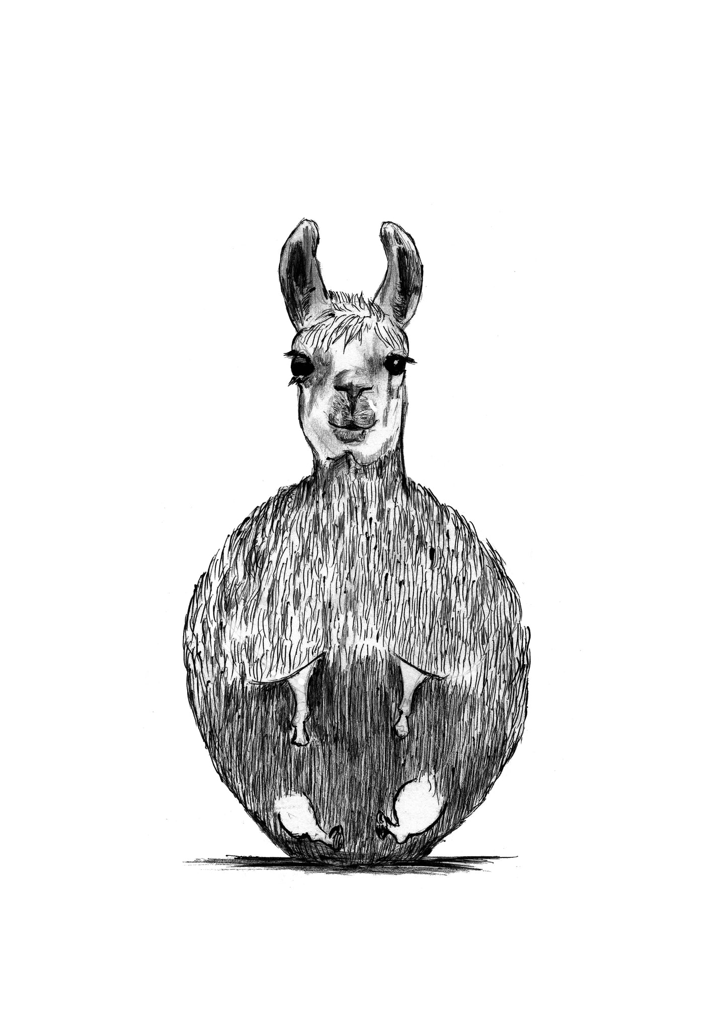 Llama - Bag