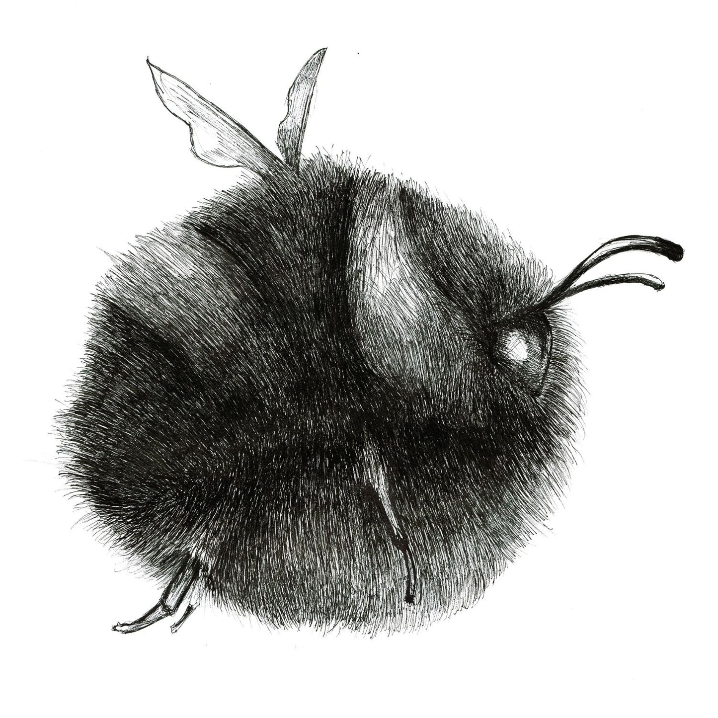 Bumblebee - Bag