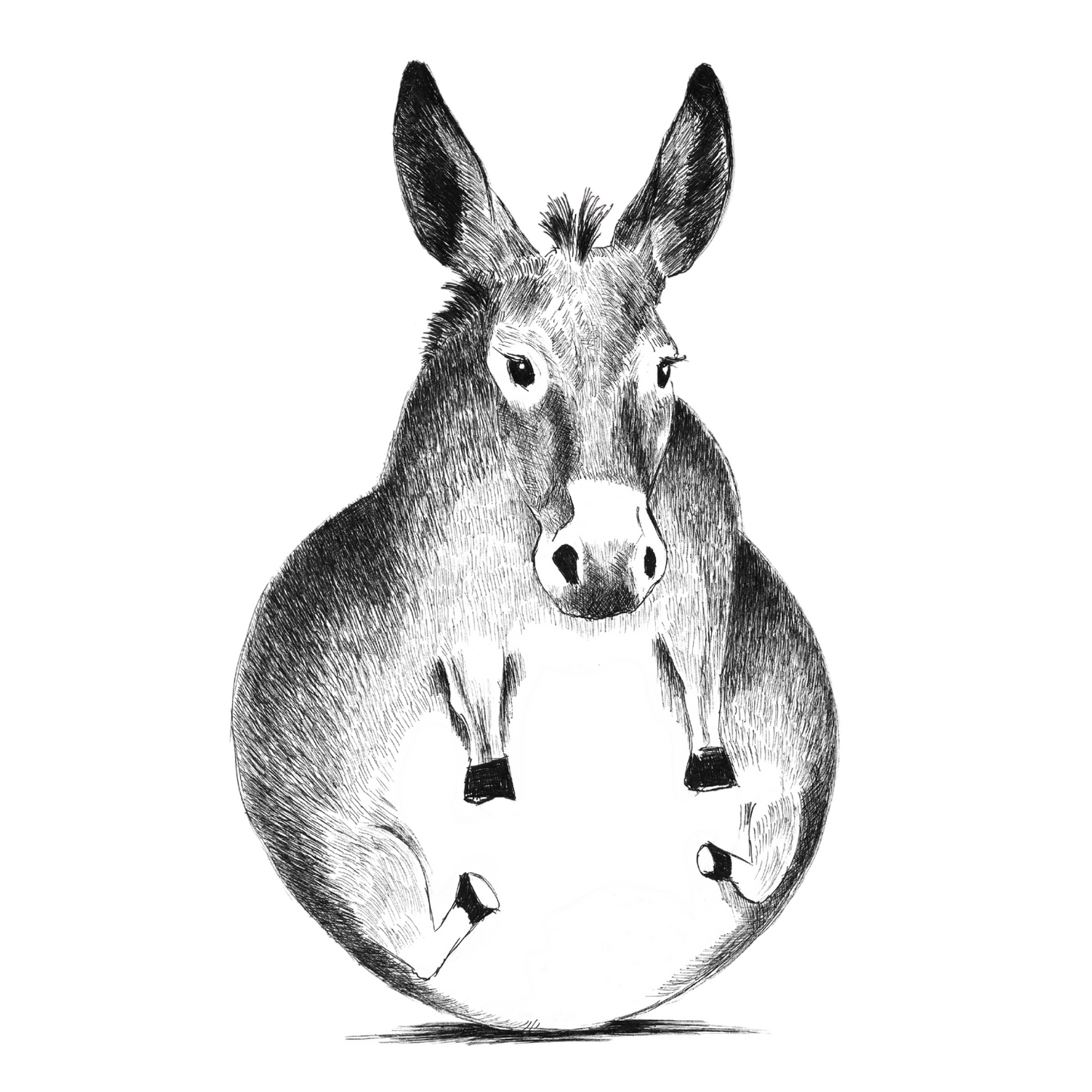 Donkey - T-shirt