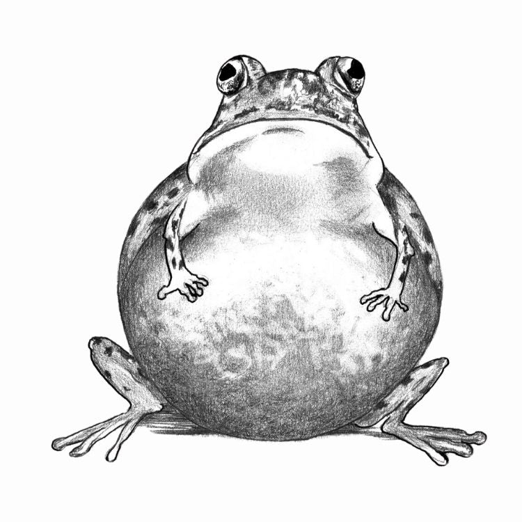 Frog - Bag