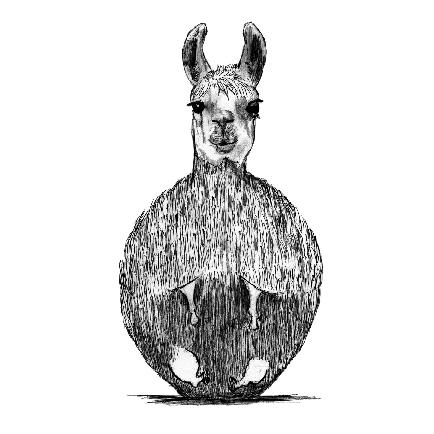Llama - T-shirt