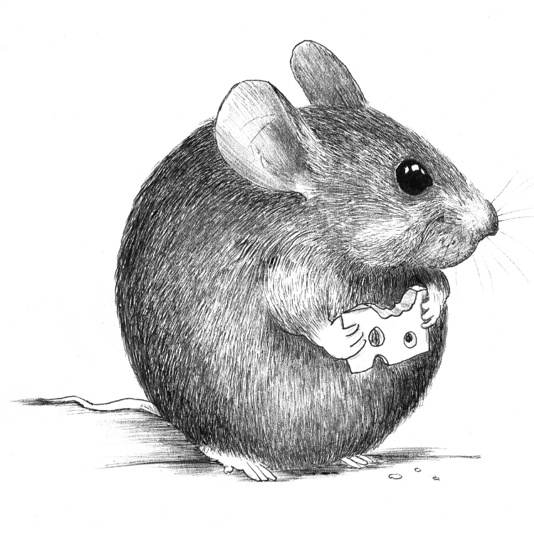 Mouse - Bag