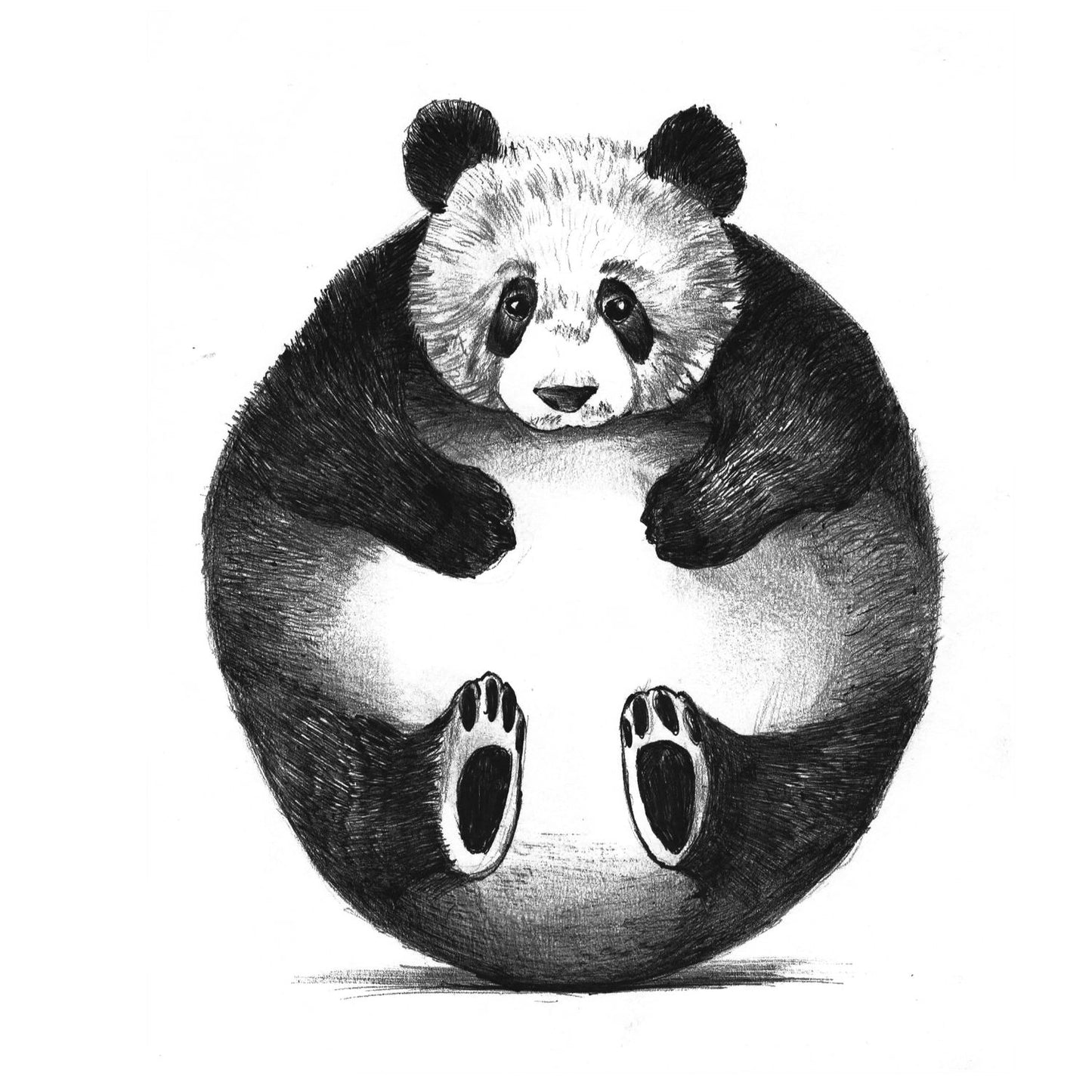 Panda - T-shirt