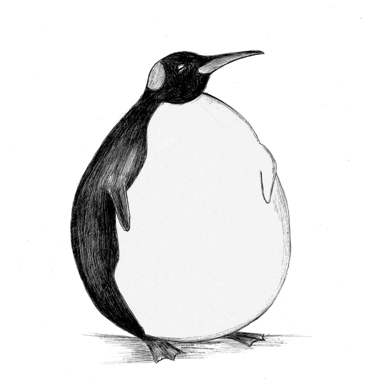 Penguin - T-shirt