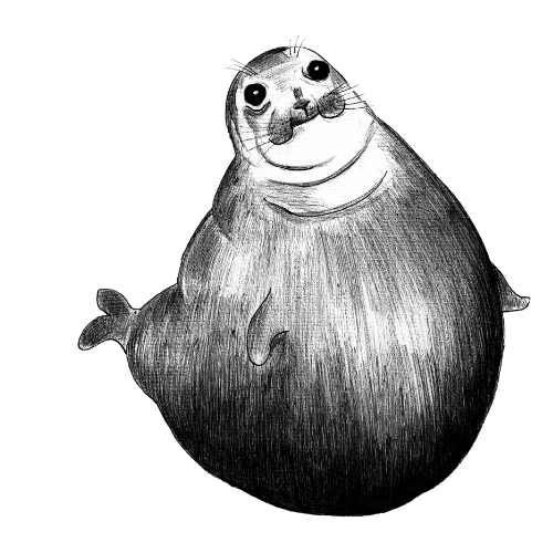 Seal - Bag